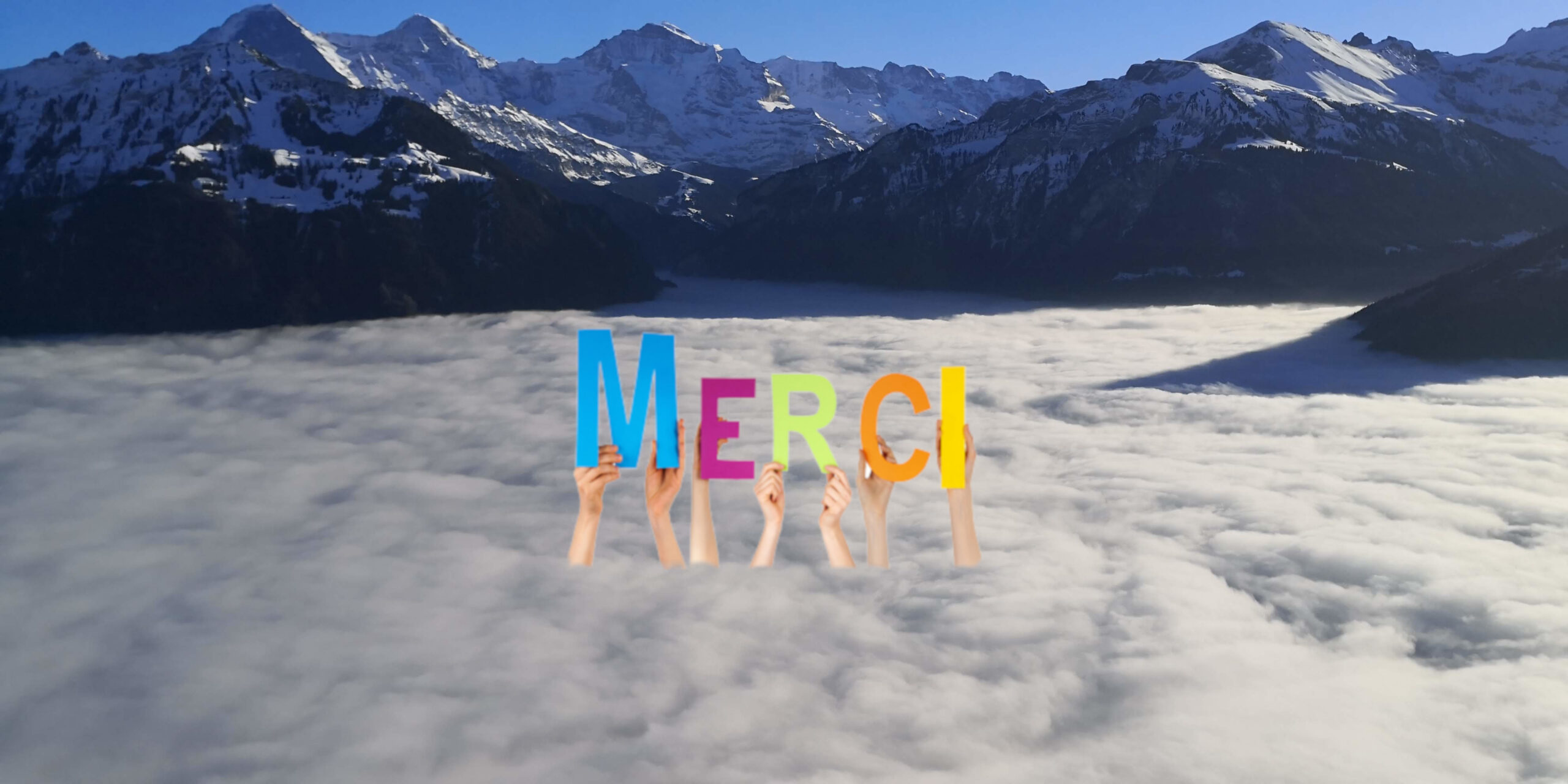 Merci pour votre don!!!!